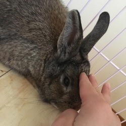 「上下関係ができたみたいです」サムネイル2