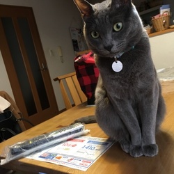 わかってるの？