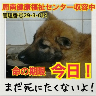 おうちが決まりました！ありがとうございます！