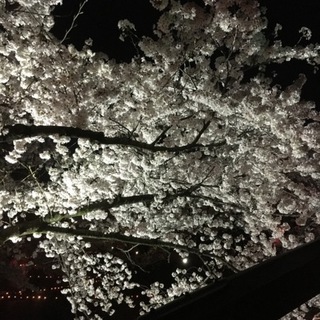 募集多数の為一旦締め切ります