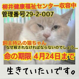 おうちが決まりました！