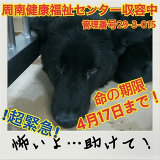 おうちが決まりました！