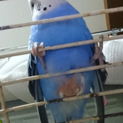 病院探しの相談