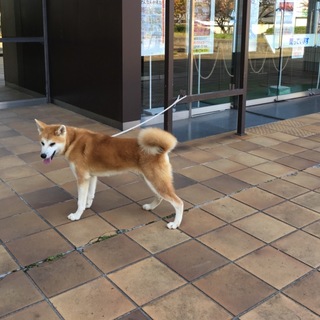 一旦終了致します