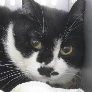 里親決定！！素敵な家族ができました(*´▽｀*)