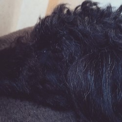 「クロロの癖」サムネイル2