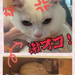 「やっとやっとの健康診断」サムネイル2