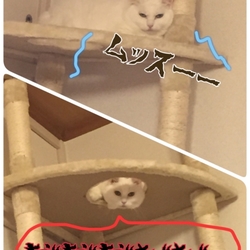 「やっとやっとの健康診断」サムネイル3