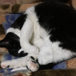 「コード」サムネイル2