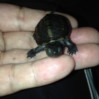 一旦締め切ります。