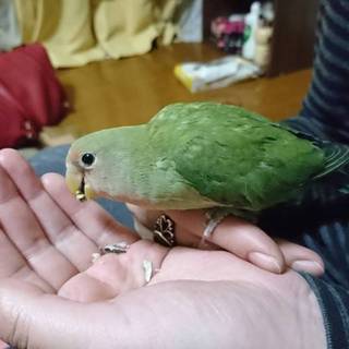 良い里親様が決まりました♪