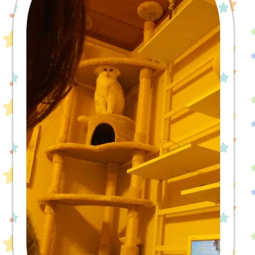 隠し撮りのツーショット失敗