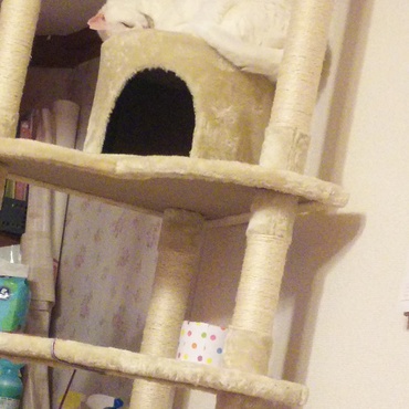 お尻はみ出してますよ