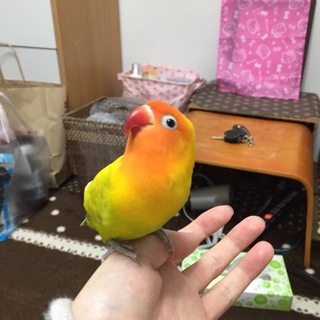 ありがとうございました。