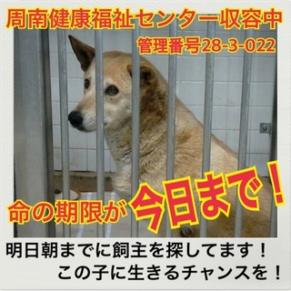 おうちが決まりました！