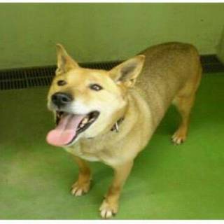 期限が過ぎたら処分になります。