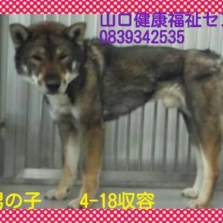 この子には時間がありません。助けて下さい！