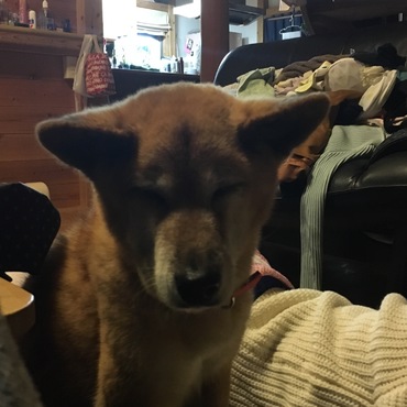 ホットカーペットあったかいよね...w