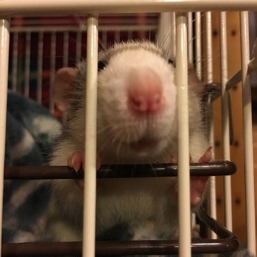 おやつ大好きだね