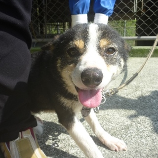 臆病だけど愛されたい