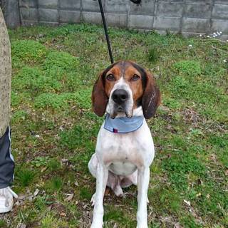 ★おとぼけキャラの竜馬君★