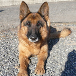 無事に終わりました。