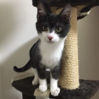 とっても人懐こい　かえるくんです