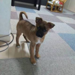 生後2ヵ月のまだまだ赤ちゃんなわかちゃん。