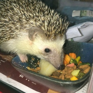 申し込み頂いた皆様ありがとうございます。