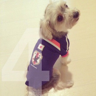 いそぎよろしくお願いします。