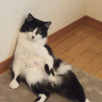 ももたろう