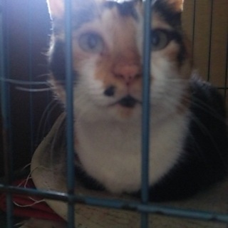 何年も狭いサークル生活の親子がいます