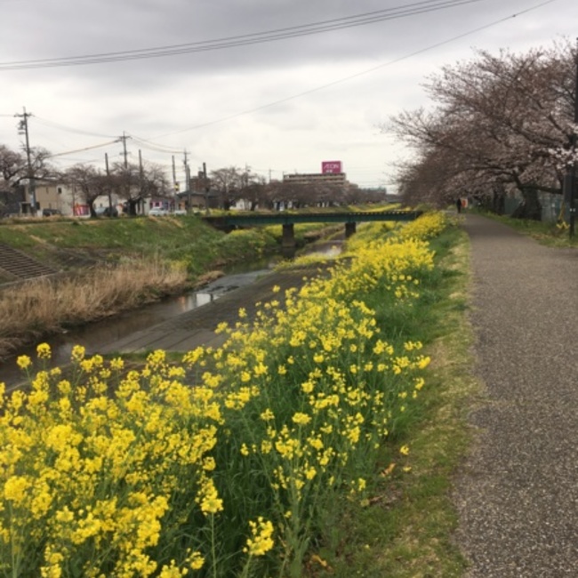 玉子魂のカバー写真