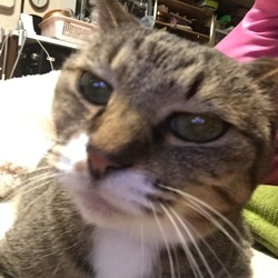 「犯人はいつも」サムネイル1