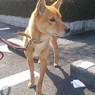 脚長でちょっとビビリの女の子