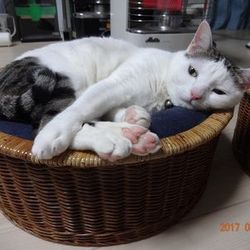 「ユズコさん、寒くて寒くて寒くてもう」サムネイル1