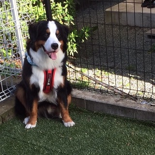 【交渉中のため一度募集中止させて頂いてます】