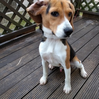 ありがとうございました。