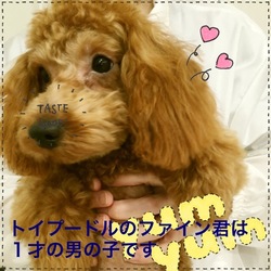 非営利動物保護団体ととのん『ととのんハウス』