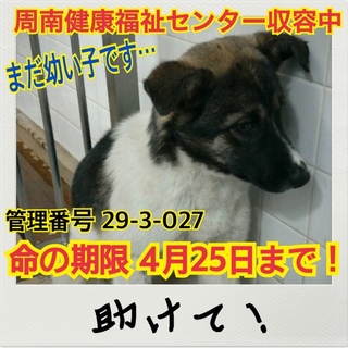 おうちが決まりました！