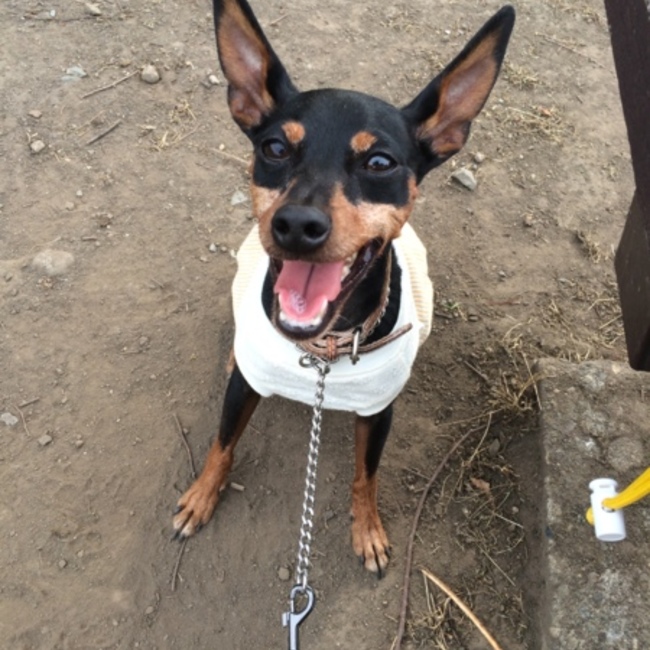 えるあんどくれあのカバー写真