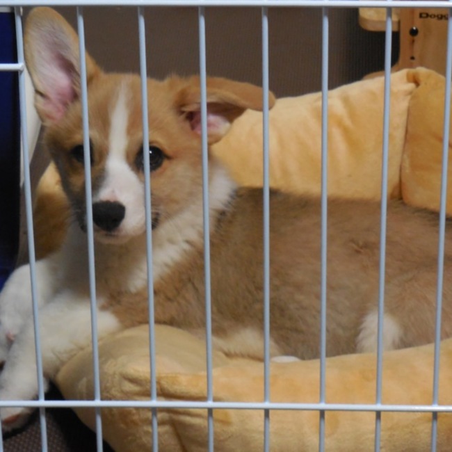 おさみんのカバー写真