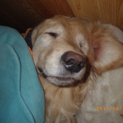 1017/4/22(金)　新しい世界・虹の彼方へ