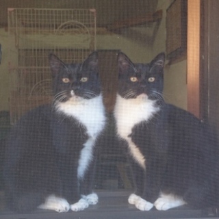 サリー（左）＆マイケルです！