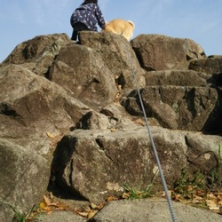 「石山登り」サムネイル2