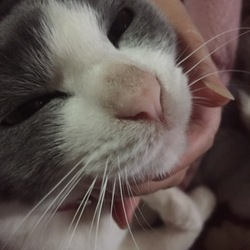 「近況」サムネイル3