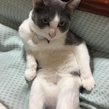 これは何座りって言うんでしょう？ちょっとワルイ顔？