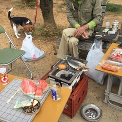 「ようこそ！」サムネイル2