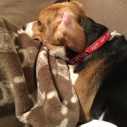 「ようこそ！」サムネイル3