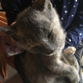 ありがとうございました♪